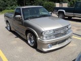 2002 Light Pewter Metallic Chevrolet S10 Regular Cab #53327921