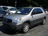 2005 Platinum Metallic Buick Rendezvous CX #53327987