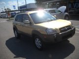 Golden Sand Hyundai Tucson in 2005