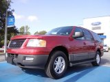 2005 Redfire Metallic Ford Expedition XLT #53409653
