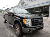 2009 Black Ford F150 FX4 SuperCab 4x4 #53409744