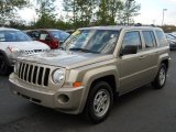 2010 Light Sandstone Metallic Jeep Patriot Sport 4x4 #53410512