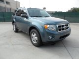 2011 Steel Blue Metallic Ford Escape XLT V6 #53409773