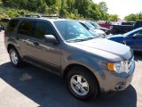 2012 Sterling Gray Metallic Ford Escape XLT V6 4WD #53463367