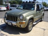2003 Jeep Liberty Cactus Green Pearl
