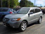 2007 Steel Gray Hyundai Santa Fe Limited #53464160