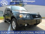 2007 Ford Escape Hybrid