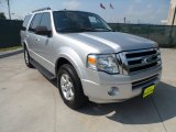 2010 Ingot Silver Metallic Ford Expedition XLT #53598566