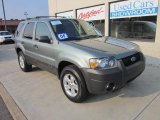 2005 Titanium Green Metallic Ford Escape XLT V6 4WD #53621500