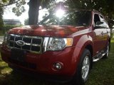 2010 Sangria Red Metallic Ford Escape XLT 4WD #53639806