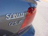 2002 Hyundai Sonata GLS V6 Marks and Logos