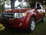 2010 Sangria Red Metallic Ford Escape XLT 4WD #53639808