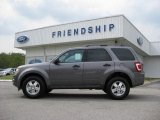 2012 Sterling Gray Metallic Ford Escape XLT #53647644
