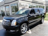 2009 Black Raven Cadillac Escalade ESV AWD #53665481