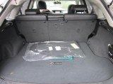 2010 Lexus RX 450h AWD Hybrid Trunk