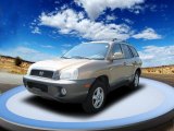 2002 Hyundai Santa Fe GLS AWD