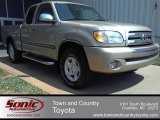 2004 Toyota Tundra SR5 Access Cab