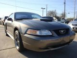 2001 Mineral Grey Metallic Ford Mustang GT Coupe #5359592