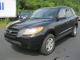 2009 Ebony Black Hyundai Santa Fe GLS #53672944