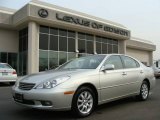 2003 Millennium Silver Metallic Lexus ES 300 #5352746