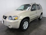2007 Dune Pearl Metallic Ford Escape Limited 4WD #53671838