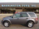 2009 Sterling Grey Metallic Ford Escape XLT V6 4WD #53671778