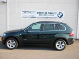 2010 Deep Green Metallic BMW X5 xDrive48i #53671717