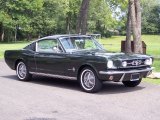 Ford Mustang 1965 Data, Info and Specs