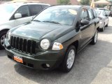 2010 Natural Green Pearl Jeep Compass Sport 4x4 #53672599