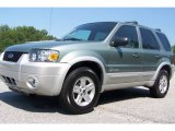 2005 Ford Escape Hybrid Front 3/4 View