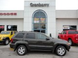 2005 Dark Khaki Pearl Jeep Grand Cherokee Laredo 4x4 #53844074