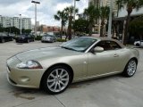 Winter Gold Metallic Jaguar XK in 2008
