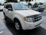 2010 Oxford White Ford Escape XLT #53904174