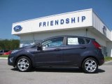 2012 Violet Grey Metallic Ford Fiesta SES Hatchback #53915030