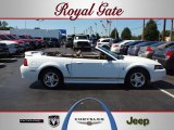 2002 Oxford White Ford Mustang V6 Convertible #53941263