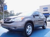 2010 Urban Titanium Metallic Honda CR-V LX #53961429