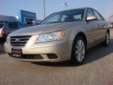 2010 Hyundai Sonata GLS