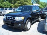 2009 Black Ford Escape XLT #53982516