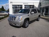 2007 Gold Mist Cadillac Escalade ESV AWD #53983580