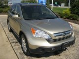 2007 Borrego Beige Metallic Honda CR-V EX-L 4WD #53982264