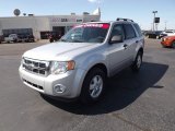 2009 Brilliant Silver Metallic Ford Escape XLT V6 #53981079