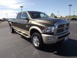 2011 Dodge Ram 2500 HD Sagebrush Pearl