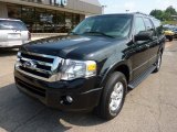 2010 Ford Expedition EL XLT 4x4 Front 3/4 View