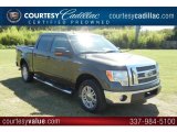 2009 Sterling Grey Metallic Ford F150 Lariat SuperCrew #53982031