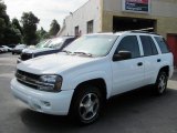 2008 Chevrolet TrailBlazer LS 4x4
