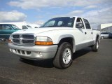 2004 Bright White Dodge Dakota SLT Quad Cab #53981984