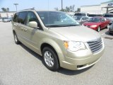 2010 White Gold Chrysler Town & Country Touring #53980777