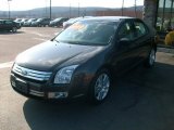 2006 Charcoal Beige Metallic Ford Fusion SEL V6 #5391143