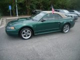 2001 Electric Green Metallic Ford Mustang GT Convertible #53981796