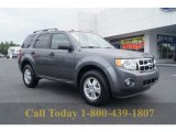 2012 Sterling Gray Metallic Ford Escape XLT V6 #53980565